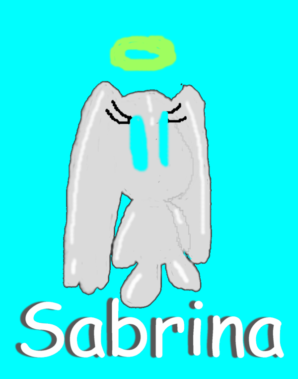Sabrina chao!(Cool looking) =D by sabrinat14