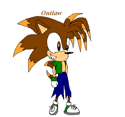 Outlaw the hedgehog by sabrinat14