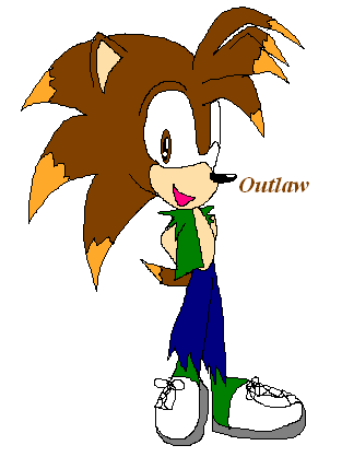 Better pic of Outlaw the hedgehog! by sabrinat14