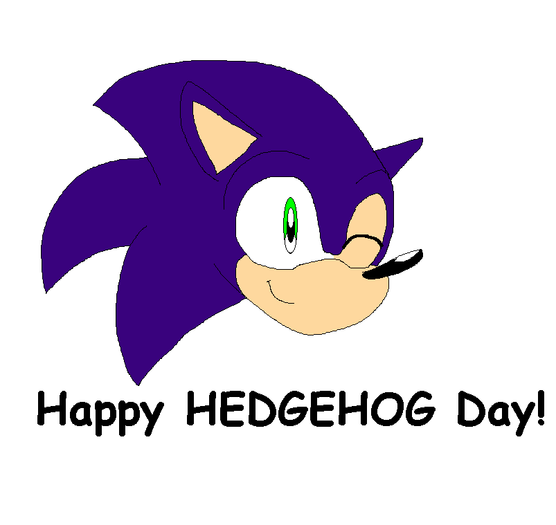 Happy Hedgehog Day (NOT GROUNDHOG DAY!!) by sabrinat14