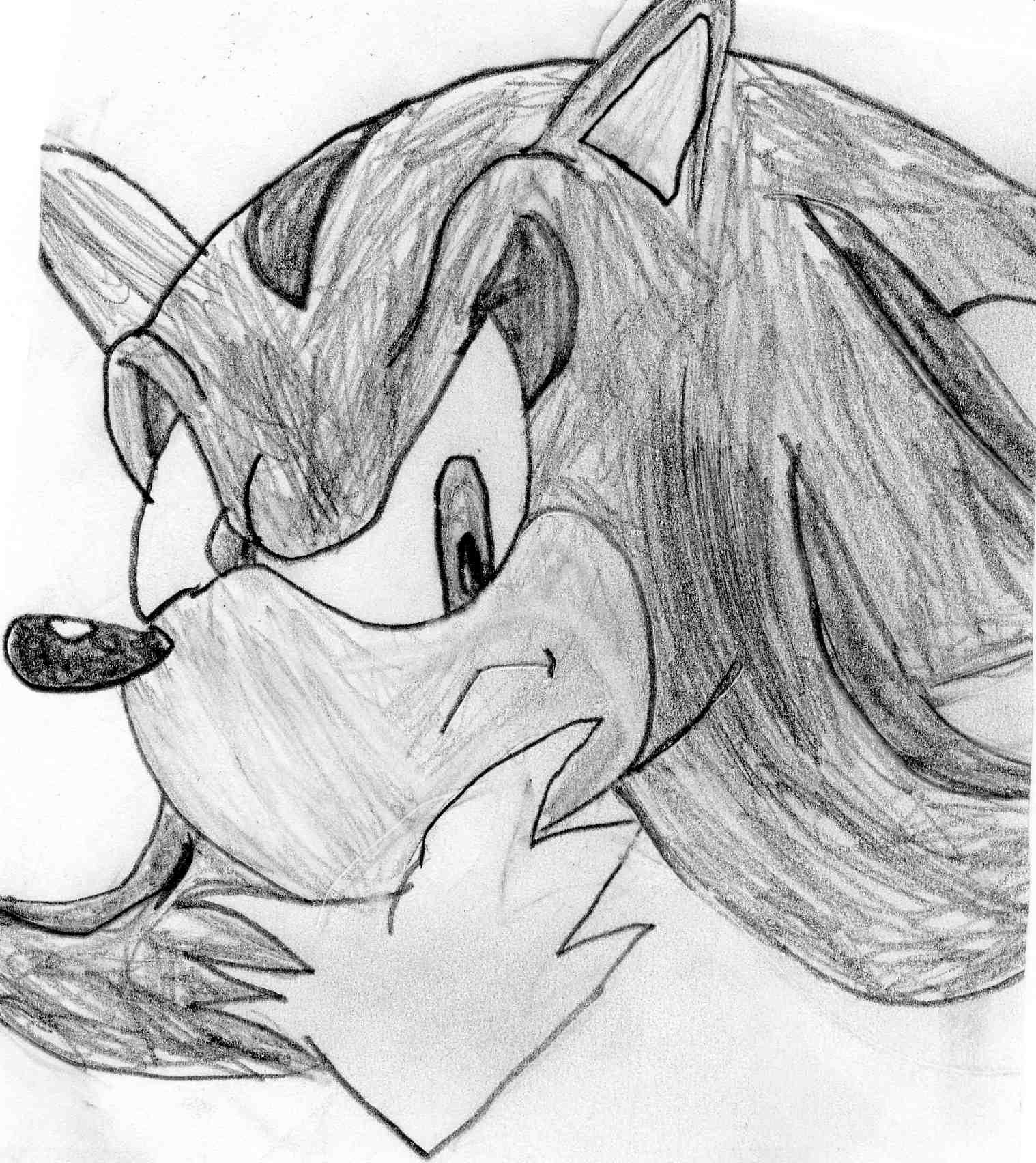Shadow the Hedgehog(Sketch) by sabrinat14