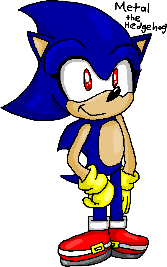 Metal the Hedgehog by sabrinat14