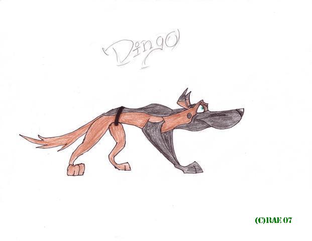 Dingo by salamandereffect