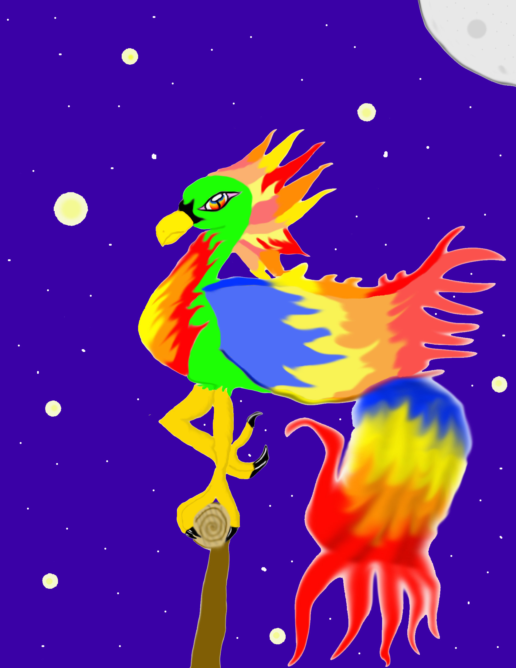 flame bird by sam01