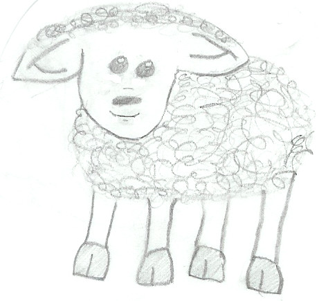 Sheep by sammy189