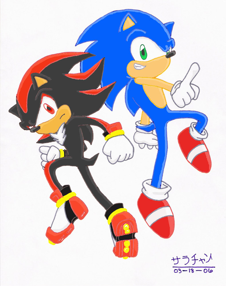 Sonic and Shadow by sara_chan
