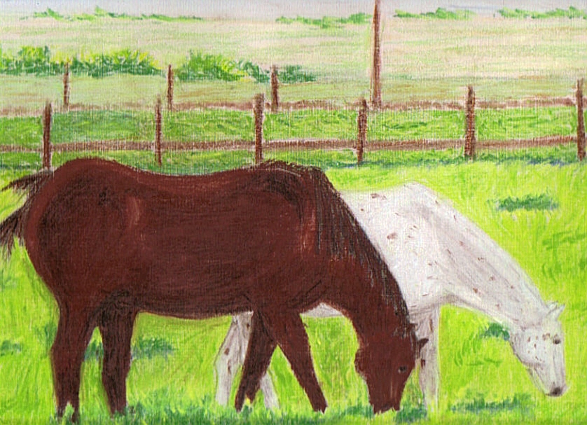 Horses in Texas by sasuke4kun