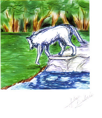 Wolf and a Stream by sasuke4kun