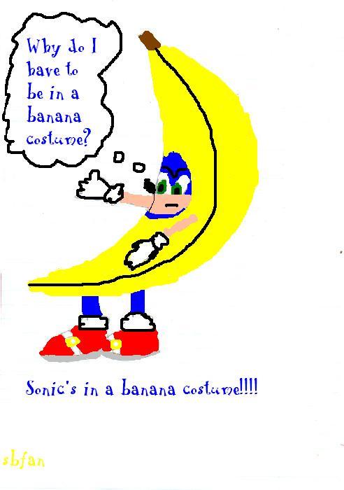 Sonic in a Banana Costume by sbfan