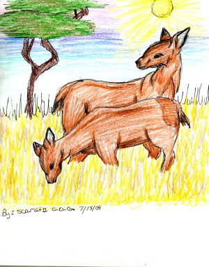 Deer for geturie-megami and friend by scarlet11