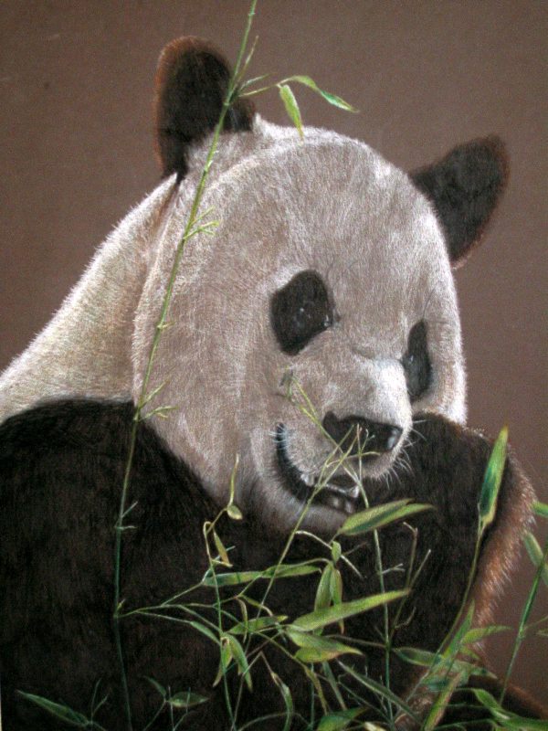 Panda by scarybuttfreezer