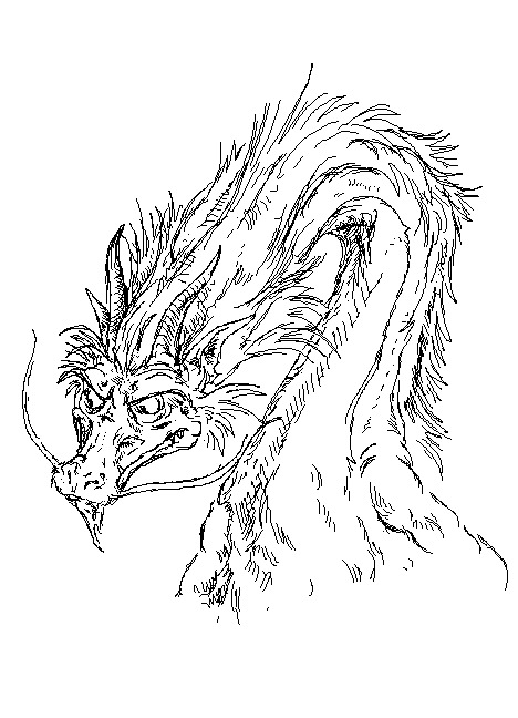 Dragon Doodle by scarybuttfreezer