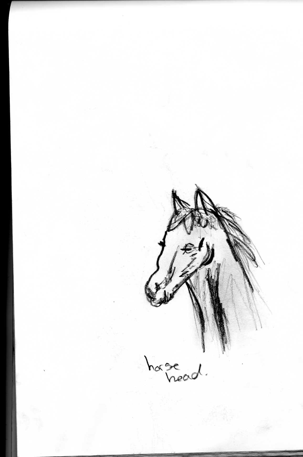 horse head - very very long neck by scott_15_05