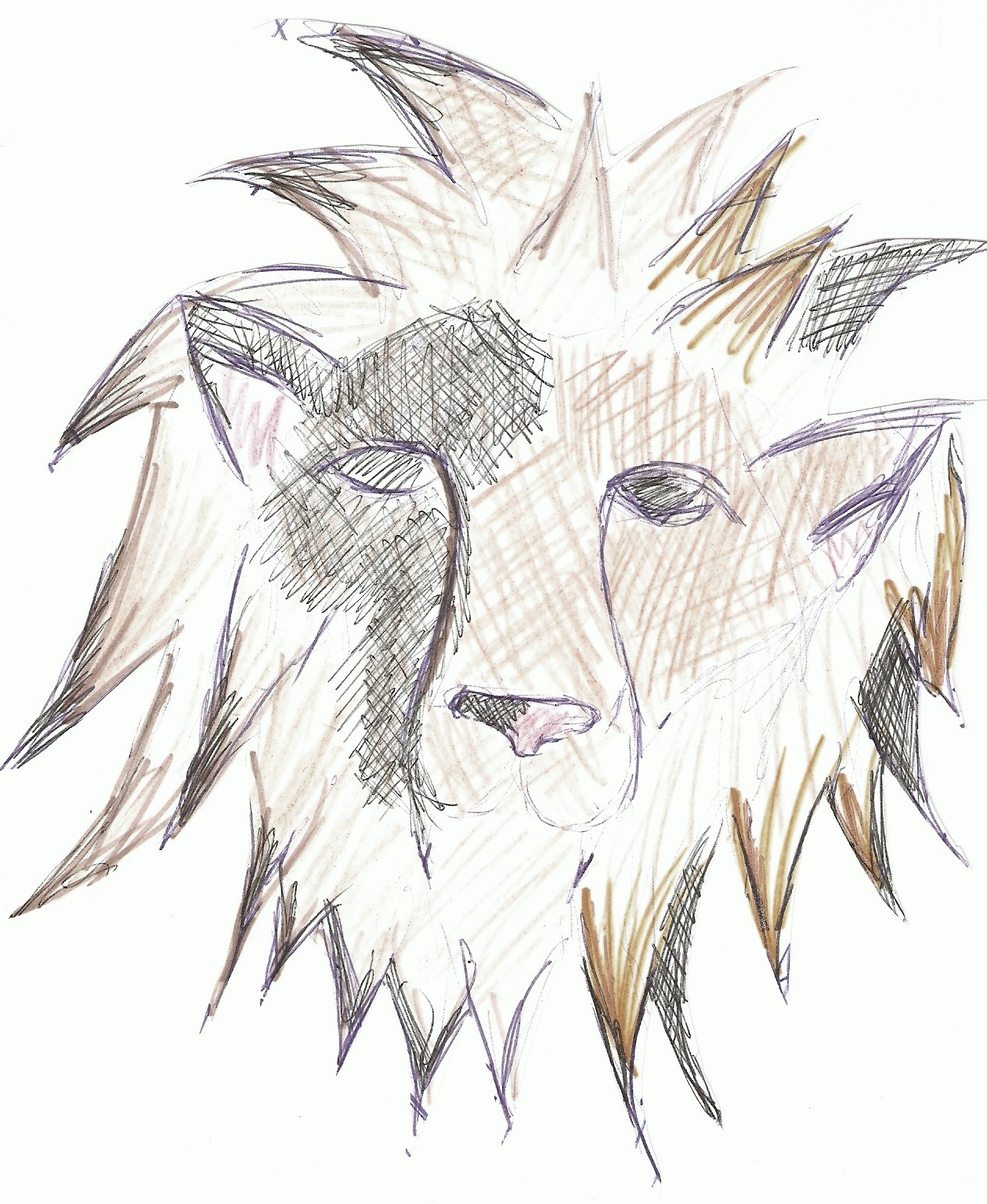 lion by seba