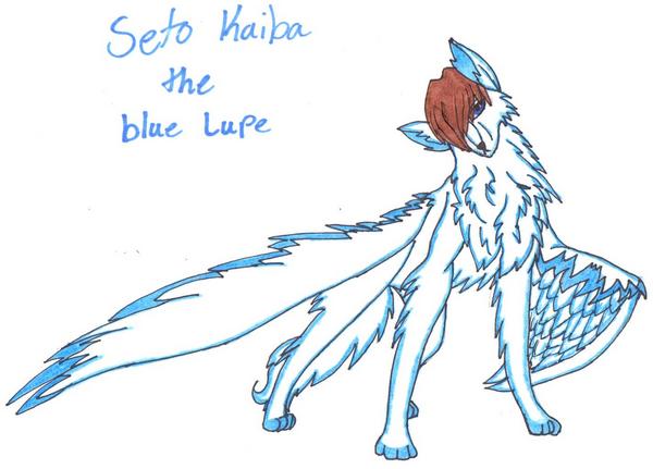 Seto, the blue lupe by setoXyamiKaiba4ever