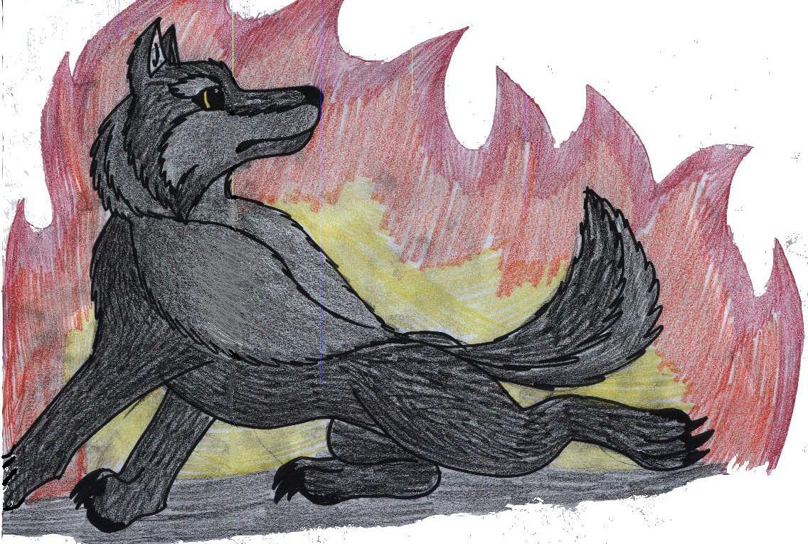wolf in flamesw 4 firewolf by shadow_wolfie