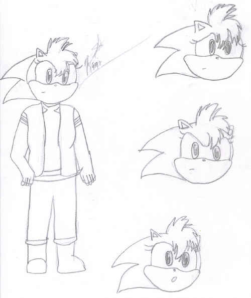 Nami Hedgehog Emotions by shadowriter