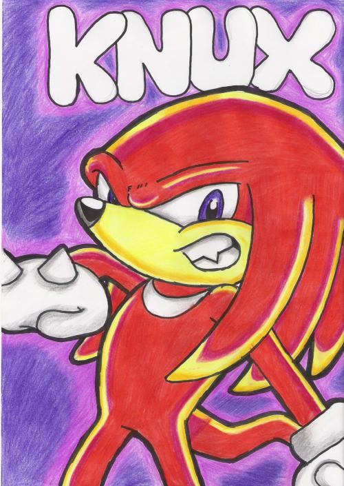 knuckles throwing a punch by shadowrulesdaworld