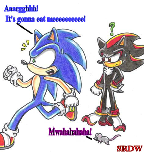 *Gift for Sonic_Riders_Freak ^-^* by shadowrulesdaworld