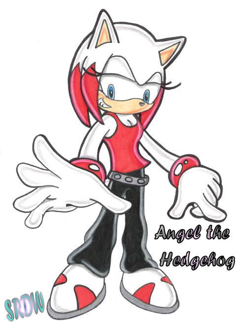 Angel the Hedgehog *contest entry* by shadowrulesdaworld