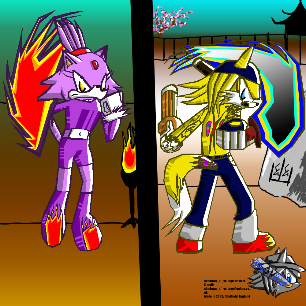 Sonic Battle Training 1-Blaze And Voltage by shadowsofvoltage