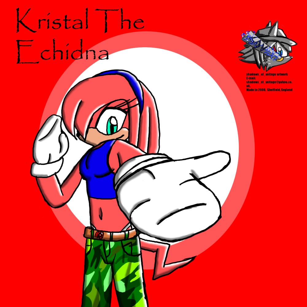 Kristal The Echidna-Combat Gear by shadowsofvoltage