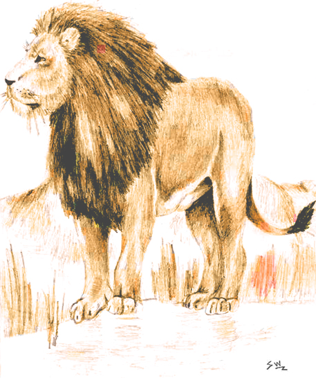 Lion by shadowsphinx22