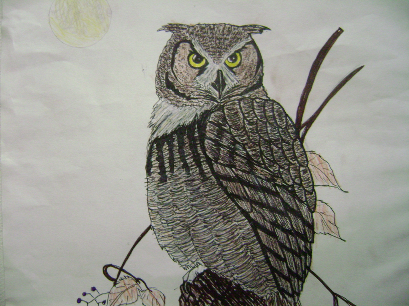 owl of wisdom by shinigami8912