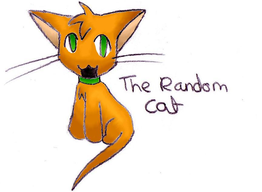 the random cat...again! by shinypikachu2608
