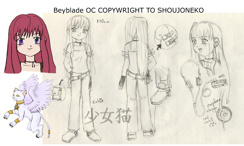 character sheet - beyblade oc by shoujoneko