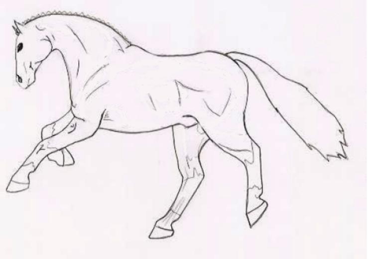 Gallop uncoloured by showjumpa10