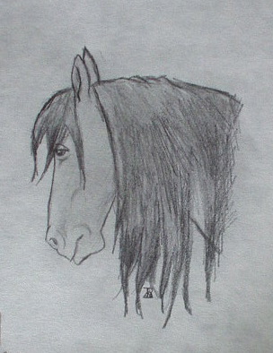 My Horse Rebel by sili