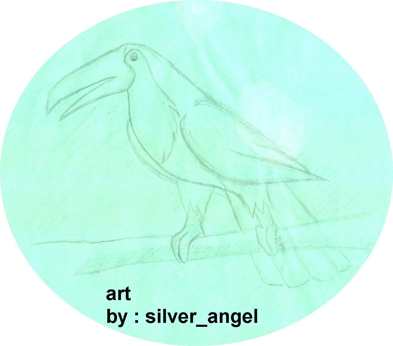 Hornbill by silver_angel