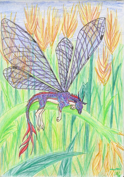 dragonfly by silver_dragicorn