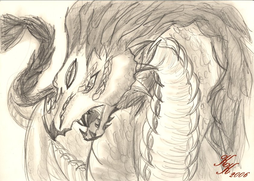 3-eyed fire dragon (sketch) by silver_dragicorn