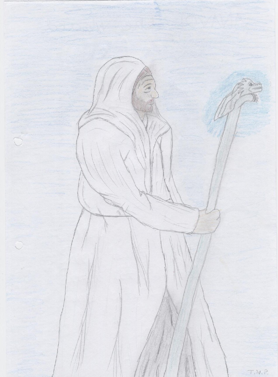 Anavol The Druid by silvereye