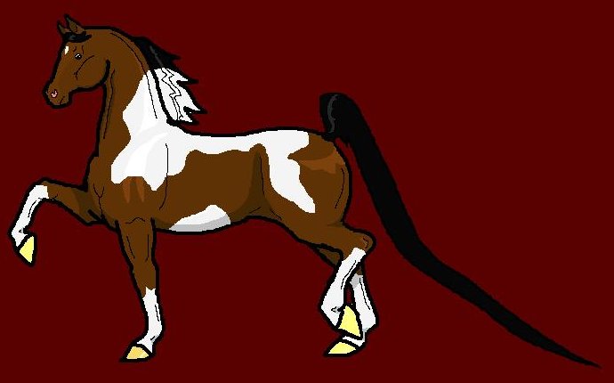 Pinto Horse by sir_integral