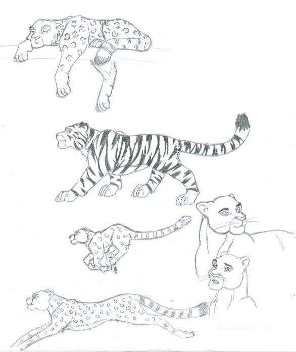 Big Cat Sketches by sir_integral