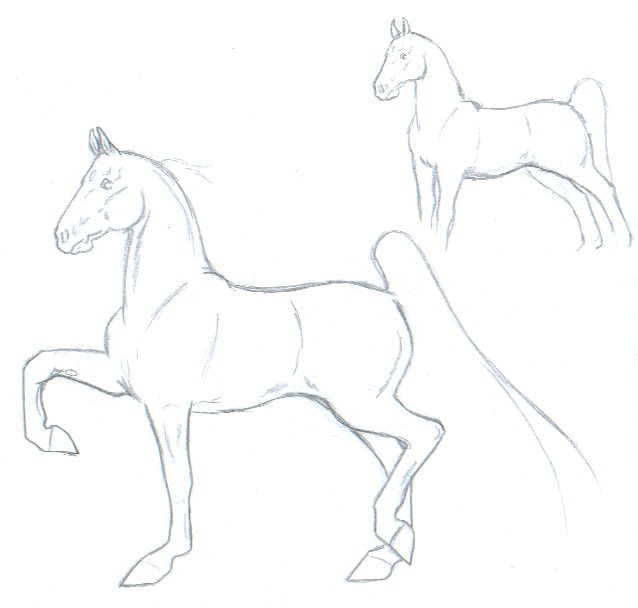 Saddlebred Horse by sir_integral
