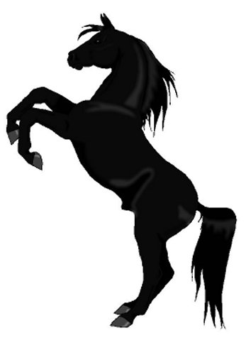 Black Stallion by sir_integral