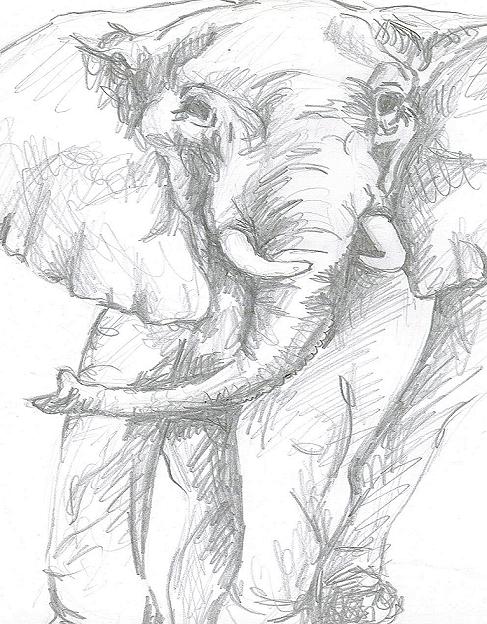 elephant by sisters_inc
