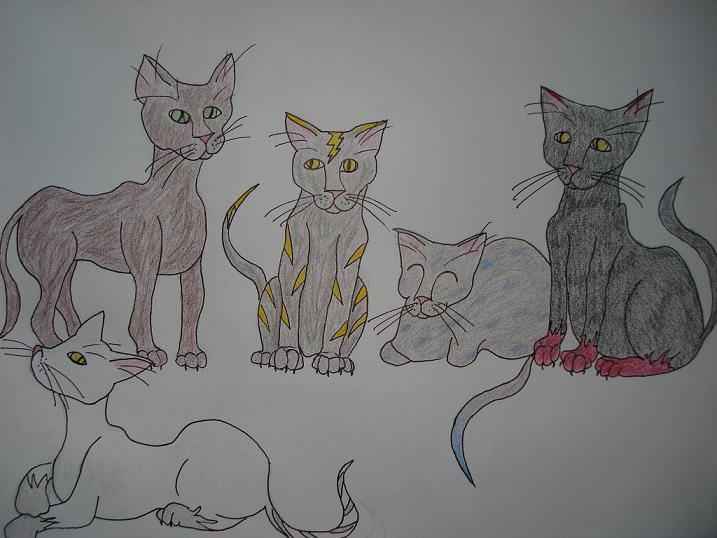 The Cats by smilingcheerios