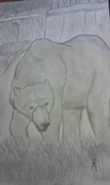 Grizzly bear by smokeybandit1