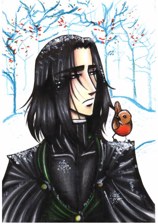 snape and the robin by snapesnogger