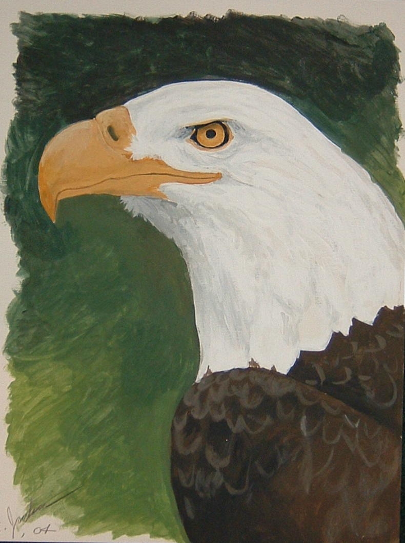 eagle3 by snowbird431