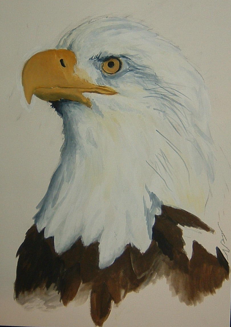 eagle2 by snowbird431