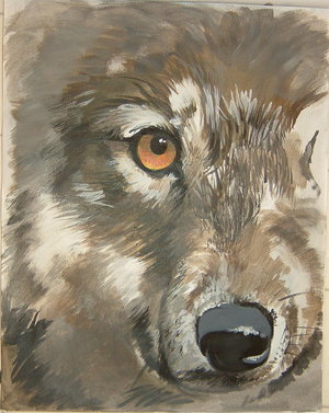 Wolf2 by snowbird431