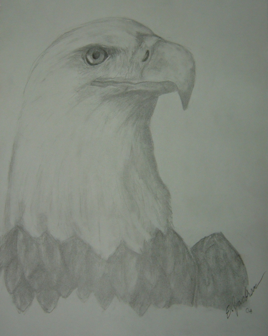 Eagle 2 by snowbird431