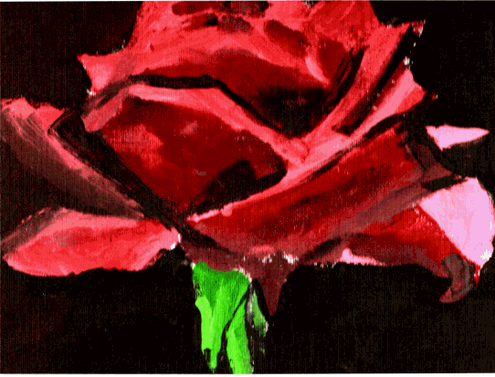 Rose by snufflesgal
