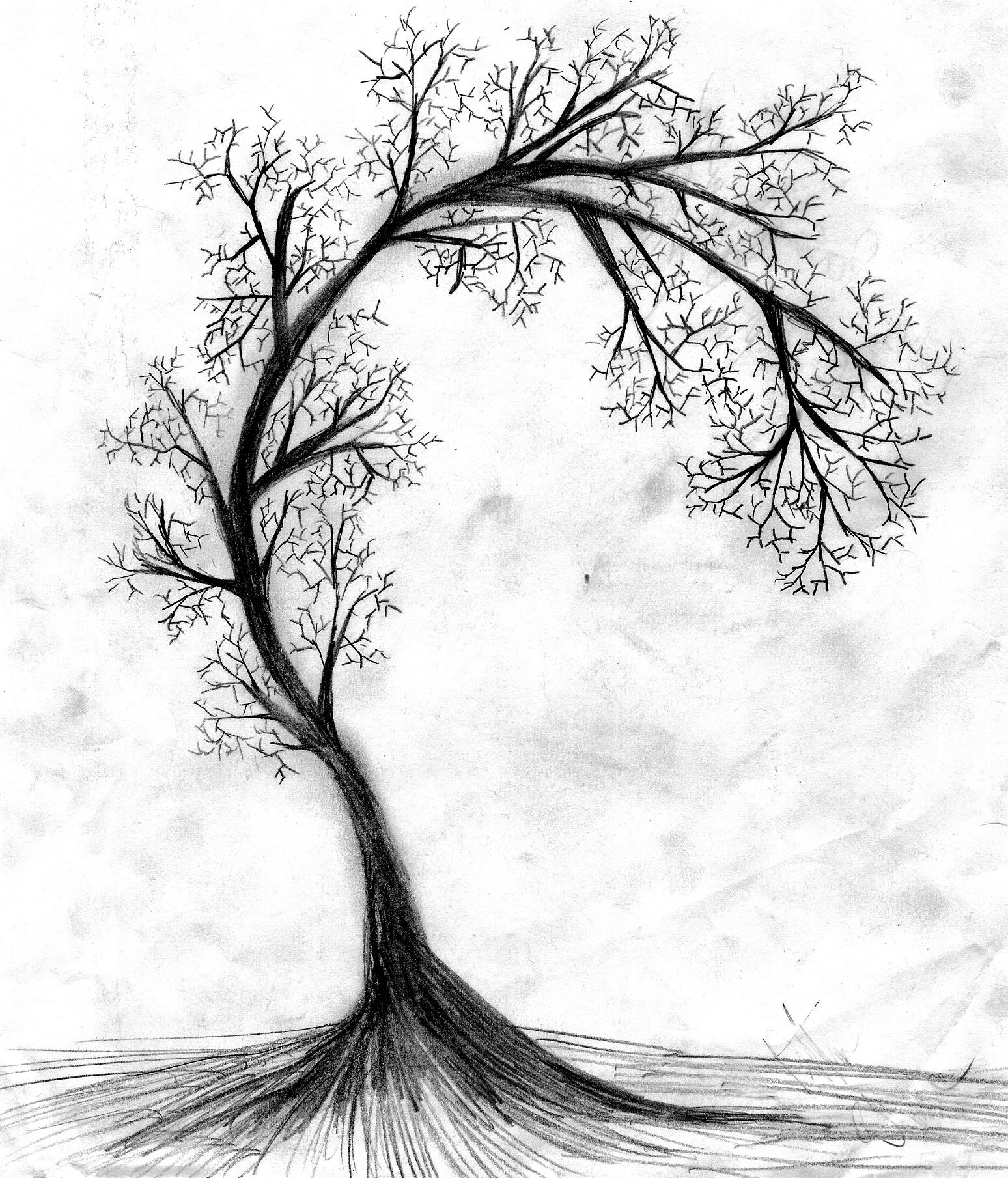 Skeletal Tree by snufflesgal